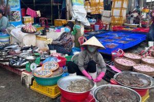 5 Dishes Cooking Class with Market Trip in Da Nang - The meet-up at 07 Nguyễn Bá Lân and how the day starts