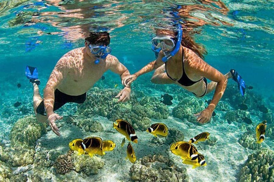 Amazing Snorkeling at Cham Island - Who this trip fits best—and who should skip it
