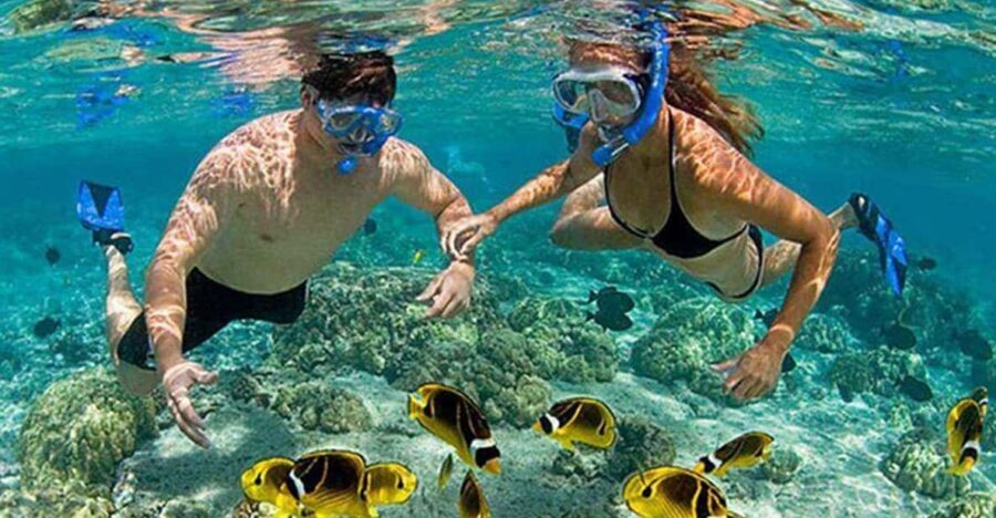 Amazing Snorkeling at Cham Island - The full day schedule (8:30 to ~3:30): how the timing feels