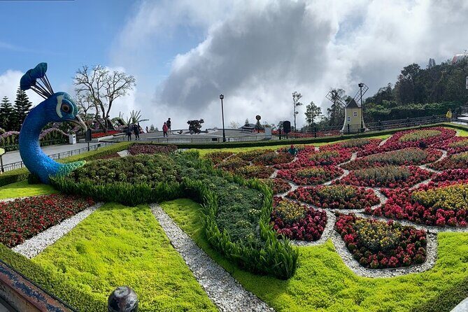 Ba Na Hills & Golden Bridge Tour from Da Nang - Nui Chua Peak + Linh Chua Linh Tu Temple: views with a calm break