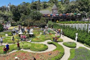 Ba Na Hills - Golden Hand Bridge Full Day Tour - Who this tour suits best (and who should think twice)