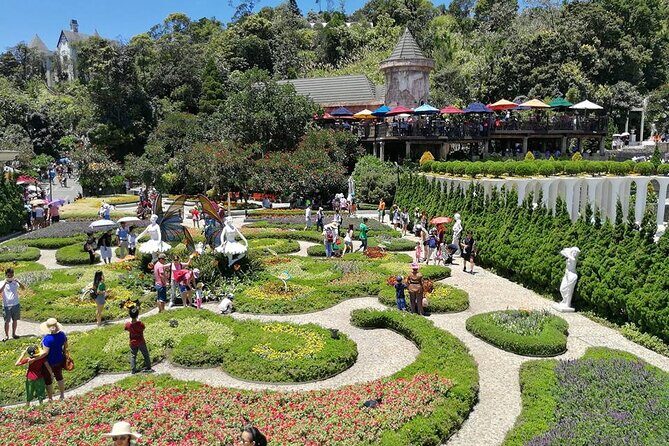 Ba Na Hills - Golden Hand Bridge Full Day Tour - Who this tour suits best (and who should think twice)