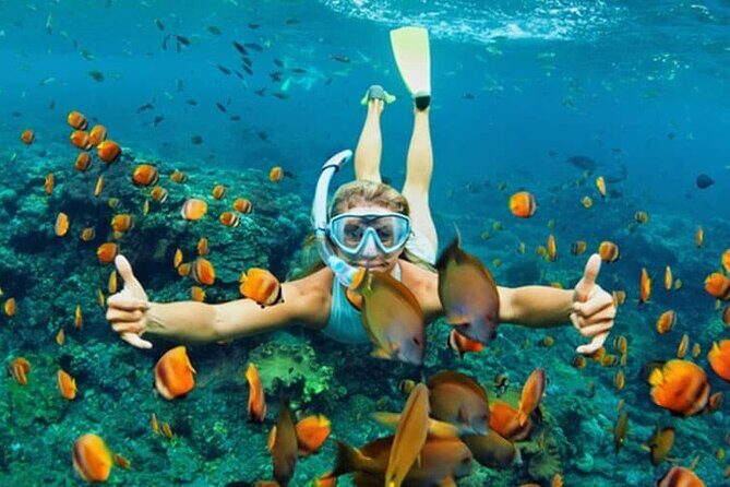 Cham Island Daily-Snorkeling(Optional:Pick up at Cua Dai Port) - Cu Lao Cham snorkeling: 45 minutes, clear expectations, and real reefs