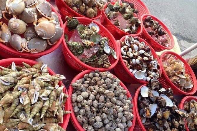 Cham Island Day Tour & Snorkeling from Da Nang with Group tour - Cu Lao Cham Marine Park: what you’re paying for (and why it’s worth it)