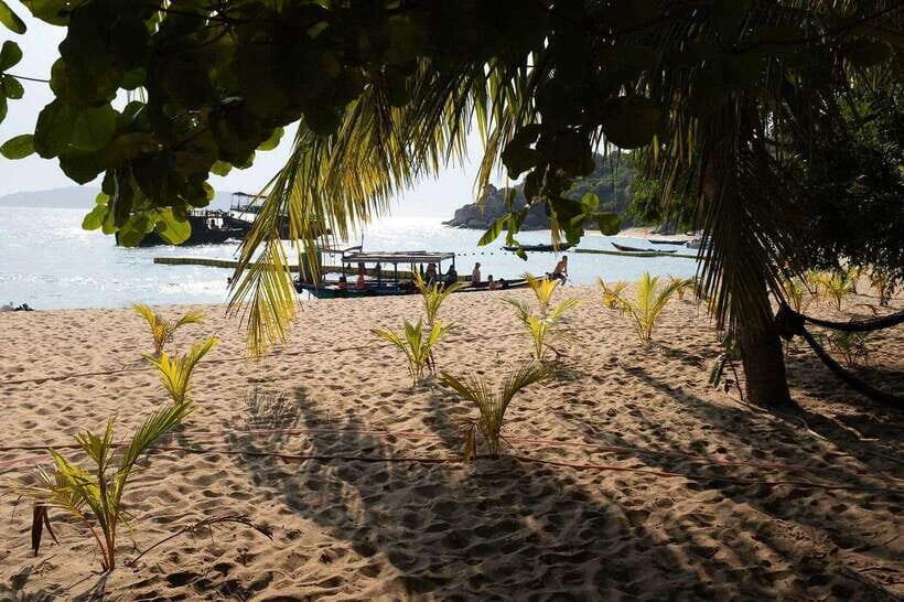 Cham Islands Snorkeling Tour by Speedboat : Hoi An/Da Nang - Key things to know before you go