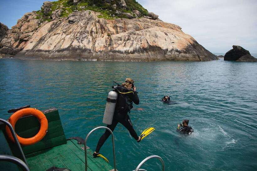 Cham Islands Snorkeling Tour by Speedboat : Hoi An/Da Nang - Why the Cham Islands snorkeling tour feels like good value