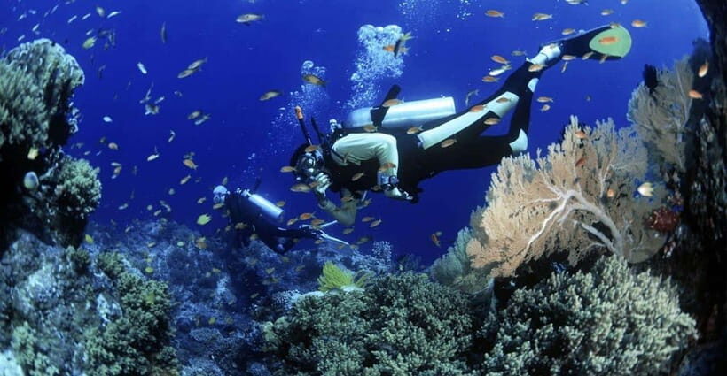 Cham Islands Snorkeling Tour by Speedboat : Hoi An/Da Nang - The speedboat ride to Cham Island: faster than you think