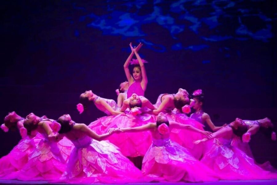 Da Nang: Charming Da Nang Show Ticket - Charming Da Nang Show: what you’re really buying