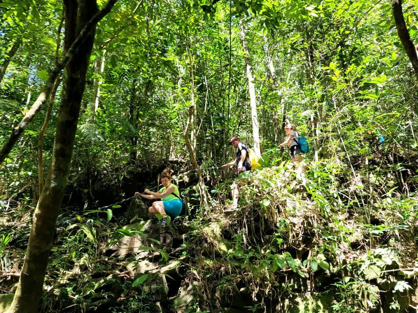 Da Nang/Hoi An to Hue via Bach Ma National Park Trekking - Bach Ma check-in and a small-group trail day (12 people max)