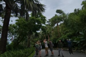 Endangered Monkeys Watching - Red Shanked Douc Langurs - Trail time: binocular watching, forest creatures, and real-time research