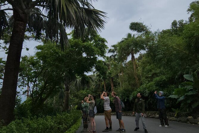 Endangered Monkeys Watching - Red Shanked Douc Langurs - Trail time: binocular watching, forest creatures, and real-time research