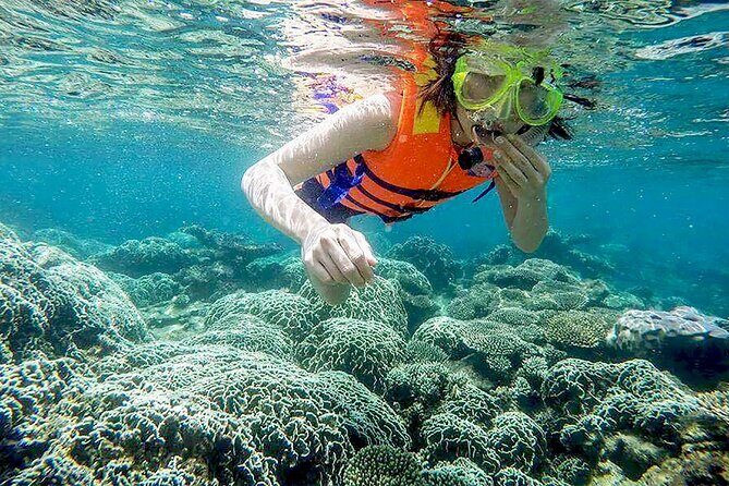 From Da Nang/ Hoi An: Cham Island Day Tour with snorkeling fun - Hon Lao Island beach time: where the day turns fun