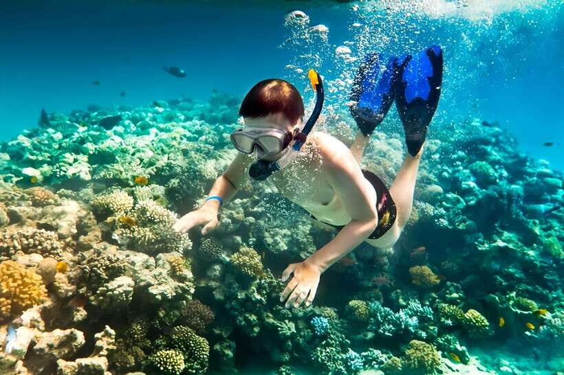 From Da Nang/Hoi An: Cham Islands Tour with Snorkeling - Key Things to Know Before You Go