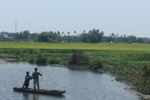Hoi An countryside biking tour, water buffalo+ basket boat ride - Tra Que Vegetable Village: 30 minutes that actually makes sense