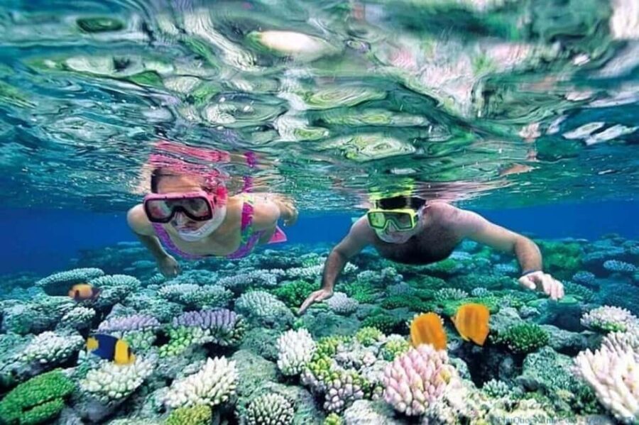 Hoi An/Da Nang: Cham Islands Snorkeling by Speedboat w Lunch - Guided snorkeling over coral gardens: what you actually get in 45–60 minutes