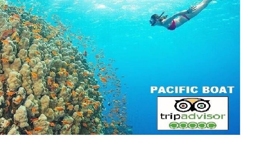 Hoi An/Da Nang: Snorkelling & Island-Hopping Speedboat Tour - Getting picked up and reaching Cua Dai Harbor smoothly