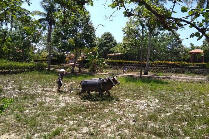 MY LAI MASSACRE Tour from Hotel in Da Nang City or Hoi An City ( Private Tour ) - Light lunch and bottled water: small inclusions with real payoff
