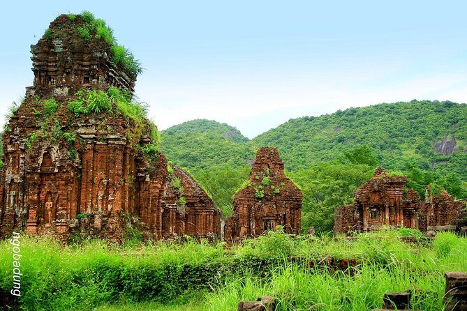 My Son sanctuary and Hoi An ancient town private tour (8a.m-4p.m) - Who This Private Hoi An and My Son Tour Suits Best