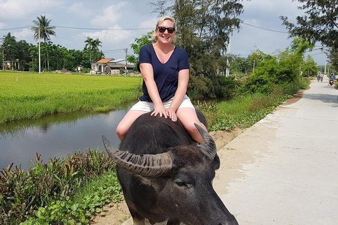 MY SON Tour & Hoi An Countryside with Basket Boat, Buffalo Ride,Farming Activity - Buffalo Ride: A Change of Pace You’ll Feel