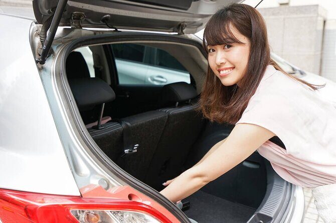 Private Arrival Transfer: Danang International Airport to Hotel in Hoian City - Finding your driver at Da Nang International Airport (even with delays)