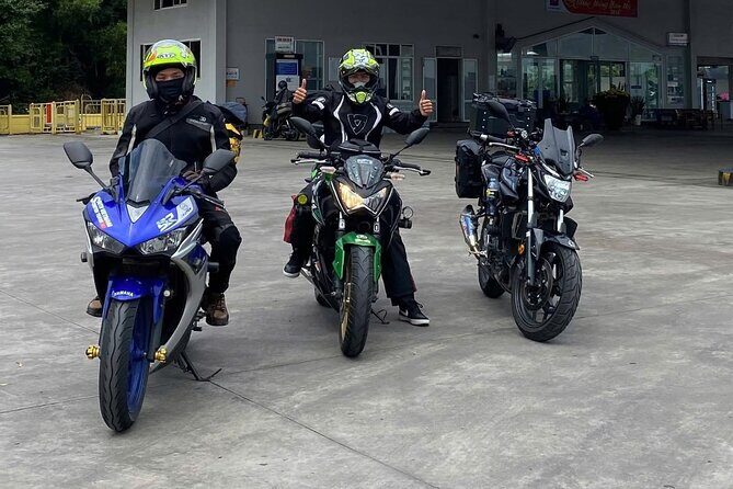 Red-shanked Douc - Private Motorbike Tour - Stop 1 on Son Tra Peninsula: tracking douc families