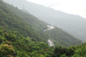 Your Incredible Scooter Adventure On Hai Van Pass - Tho Quang and Son Tra Peninsula: fishing boats and city views